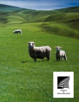 新西兰羊毛局